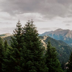 Θερινό Εργαστήρι Κοινωνικής Οικολογίας 2022