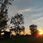 Θερινό Εργαστήρι Κοινωνικής Οικολογίας 2025